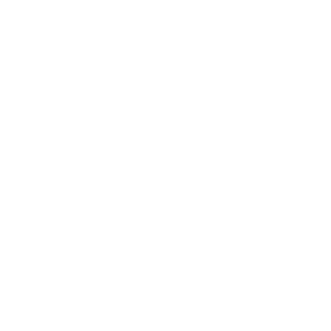 aa_1